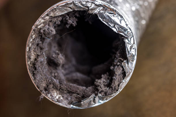 Best Home Air Vent Cleaning  in Pleasantville, NJ